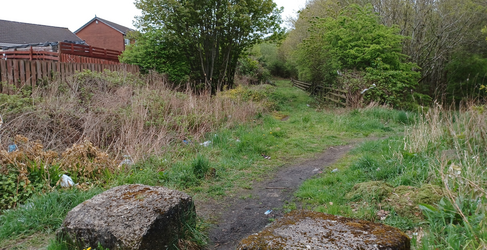 The new main will continue through the wooded area following established paths Saughs Avenue