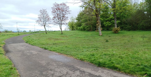 The new water main will follow the path to minimise disruption Springburn Park