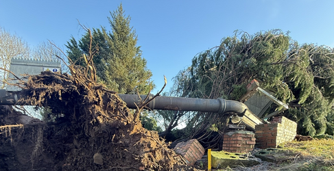The fallen trees have damaged the pipe bridge Bilston Burn Sewer Pipe Bridge Repair