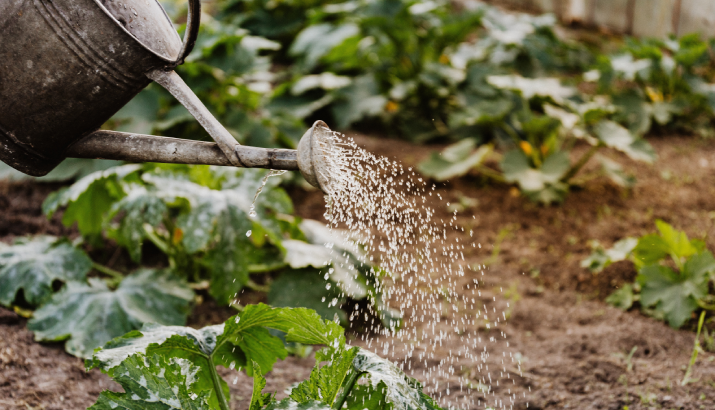 Watering can