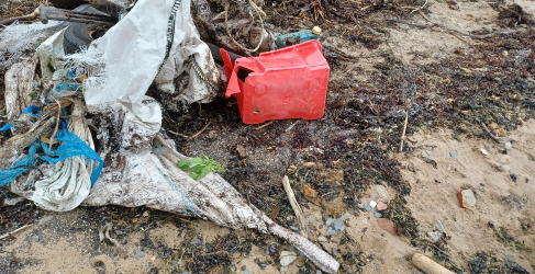 Nature Calls Helensburgh Beach Clean Rubbish collected on Craigendoran Beach