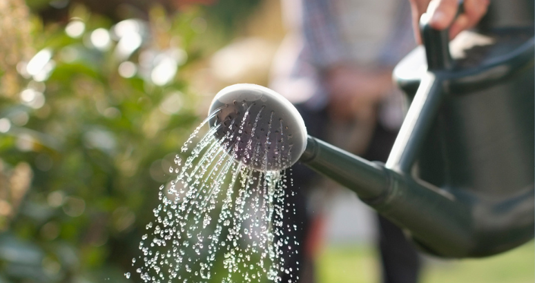 040822 Water Efficiency 1 775 x 410 Image of watering can pouring water