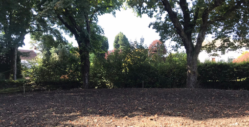 photo of the bio-diversity garden under construction