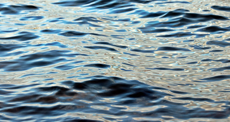 Picture of the sea