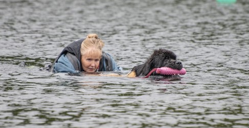 Newfoundland Dog Water Rescue Demonstration Newfoundland Dog Water Rescue Demonstration
